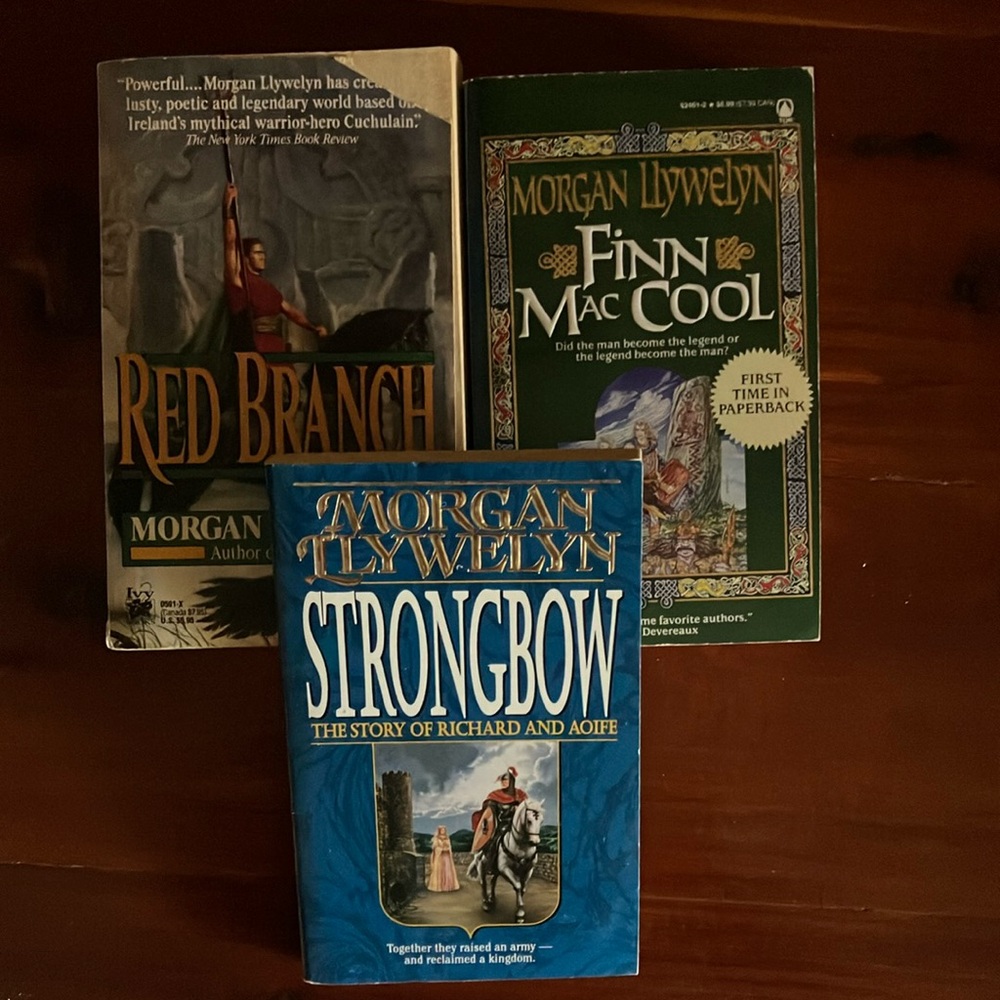 Historical Fiction Books Bundle Adventure Morgan Llywelyn Book Lot Paperback